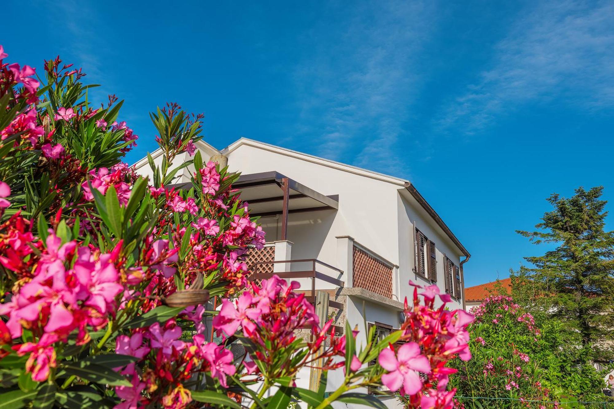 Apartment Vinka Baska  Exterior photo